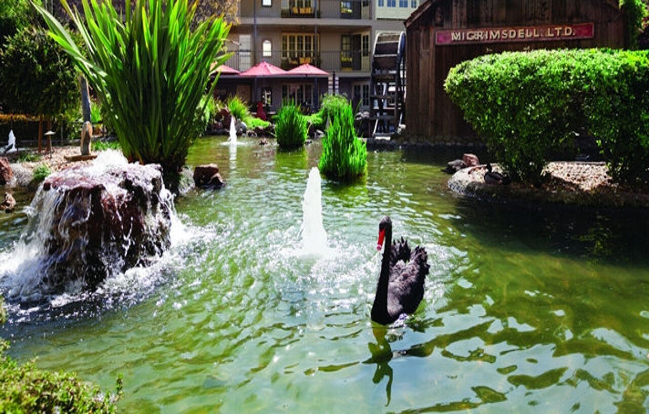 Embassy By Hilton Valley Hotel 4*